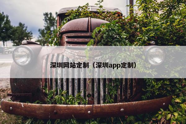深圳网站定制(深圳app定制)