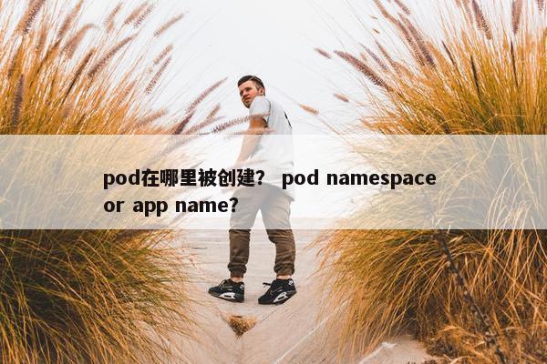 pod在哪里被创建? pod namespace or app name?