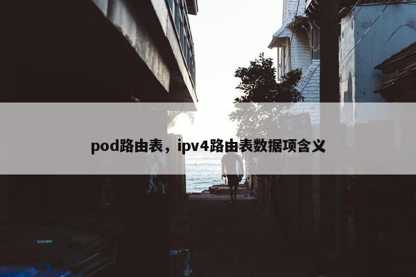 pod路由表,ipv4路由表数据项含义