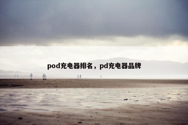 pod充电器排名,pd充电器品牌