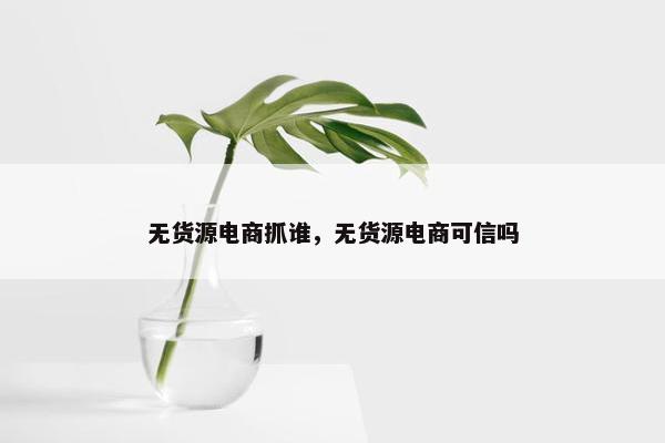 无货源电商抓谁,无货源电商可信吗