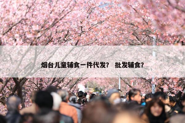 烟台儿童辅食一件代发? 批发辅食?