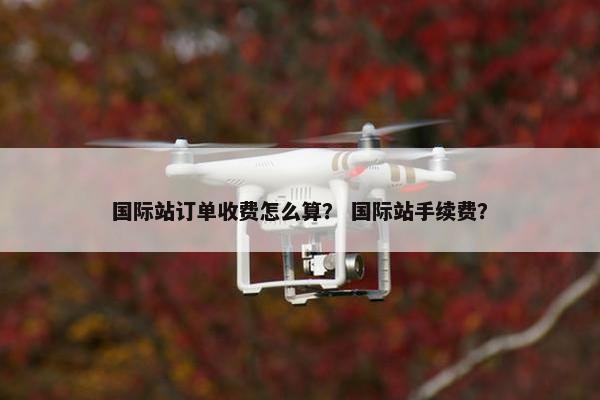 国际站订单收费怎么算? 国际站手续费?