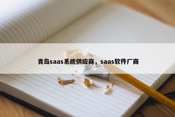 青岛saas系统供应商,saas软件厂商