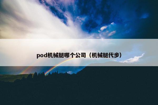 pod机械腿哪个公司(机械腿代步) pod机械腿哪个公司(机械腿代步)