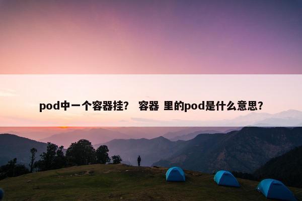 pod中一个容器挂？ 容器 里的pod是什么意思？