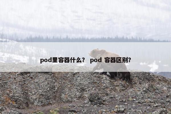 pod里容器什么？ pod 容器区别？