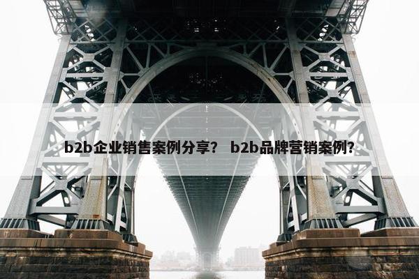 b2b企业销售案例分享? b2b品牌营销案例?