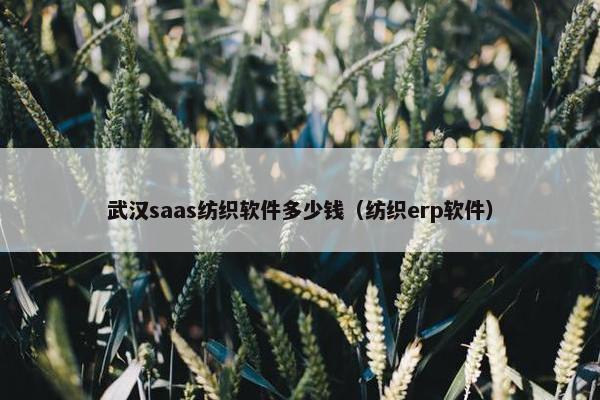 武汉saas纺织软件多少钱(纺织erp软件)