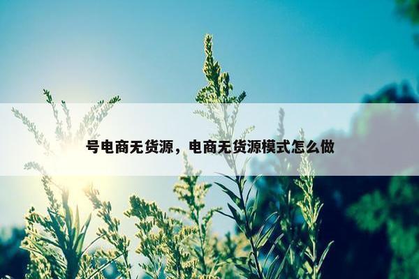 号电商无货源,电商无货源模式怎么做