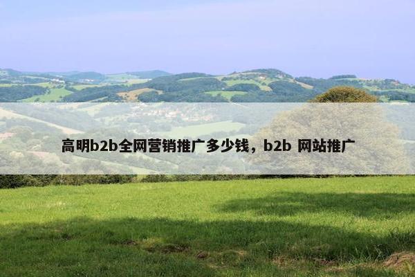 高明b2b全网营销推广多少钱，b2b 网站推广