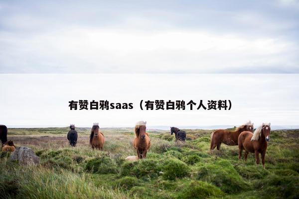 有赞白鸦saas（有赞白鸦个人资料）