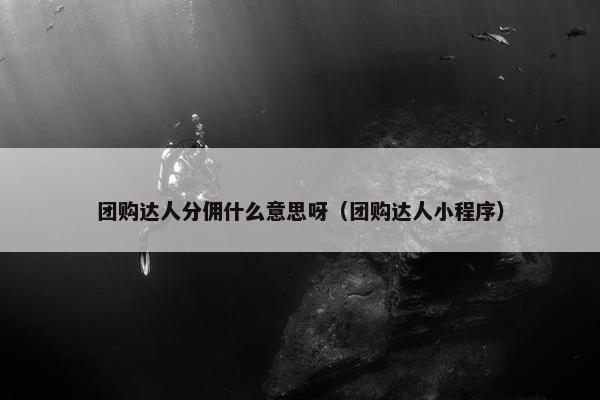 团购达人分佣什么意思呀（团购达人小程序）