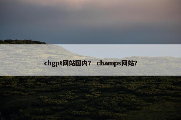 chgpt网站国内？ champs网站？