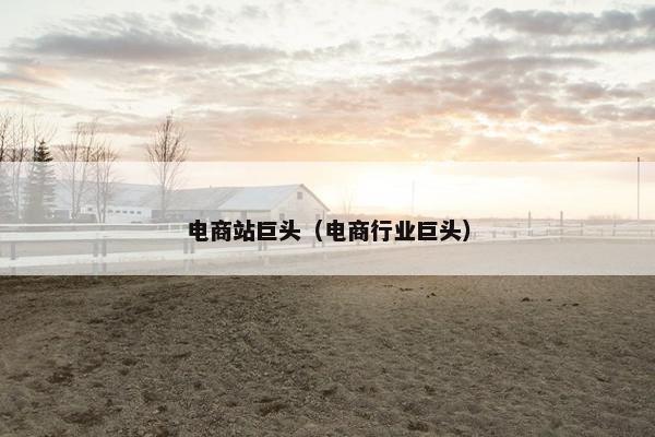 电商站巨头(电商行业巨头)