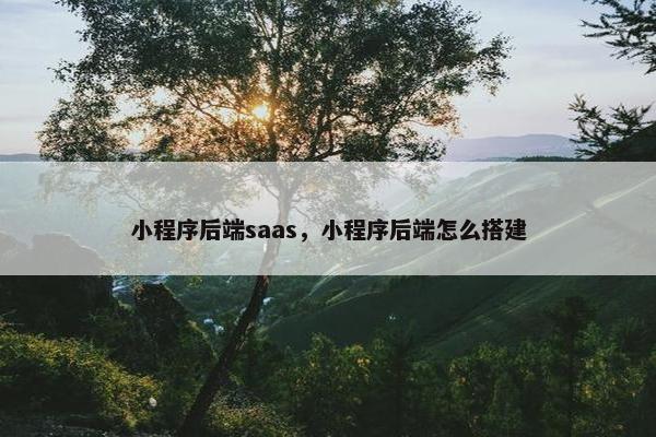 小程序后端saas，小程序后端怎么搭建