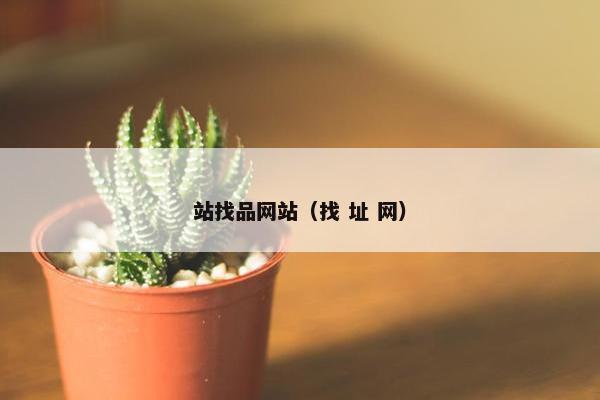 站找品网站（找 址 网）