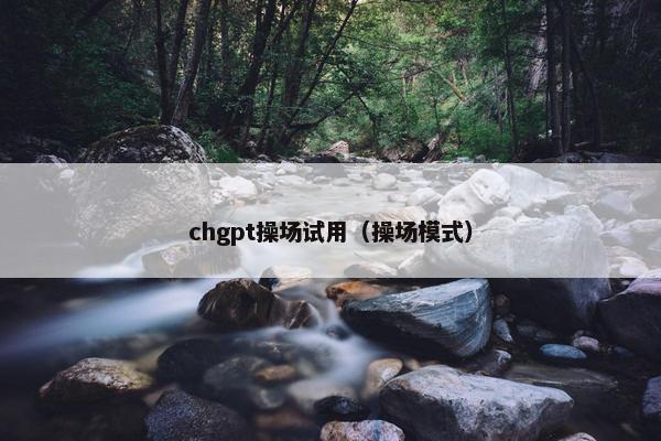 chgpt操场试用（操场模式）