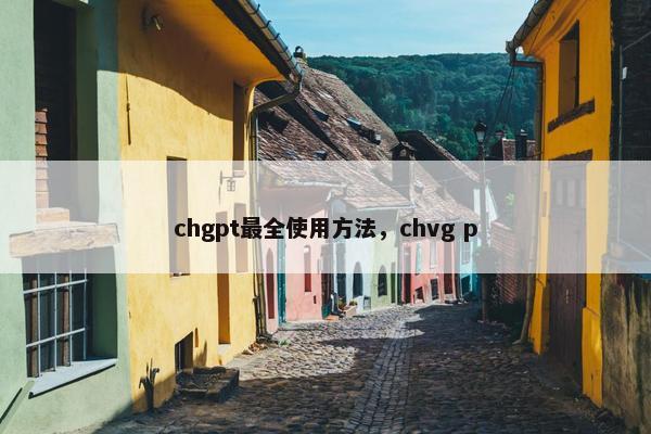 chgpt最全使用方法，chvg p