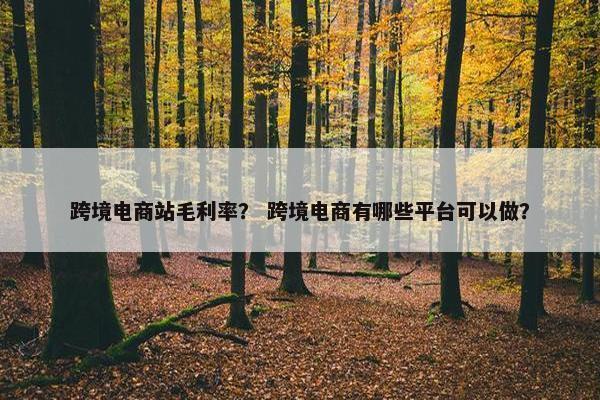 跨境电商站毛利率？ 跨境电商有哪些平台可以做？