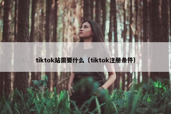 tiktok站需要什么（tiktok注册条件）