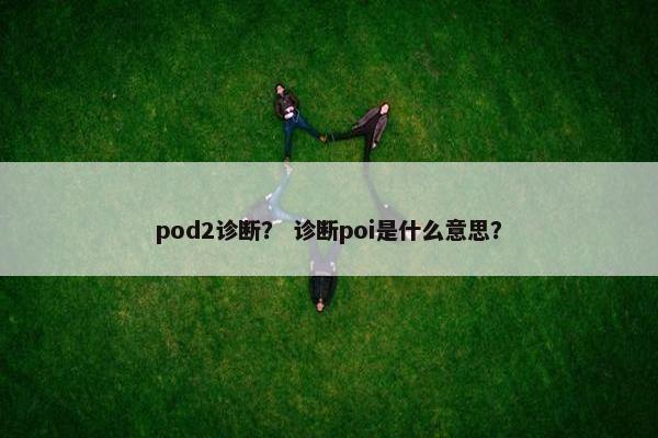 pod2诊断？ 诊断poi是什么意思？