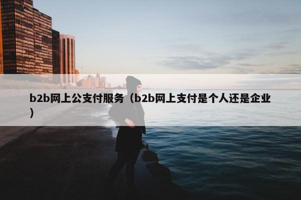 b2b网上公支付服务（b2b网上支付是个人还是企业）