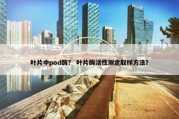 叶片中pod酶？ 叶片酶活性测定取样方法？