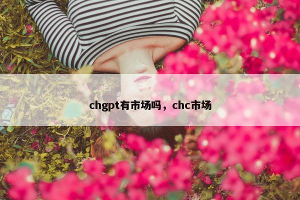 chgpt有市场吗，chc市场