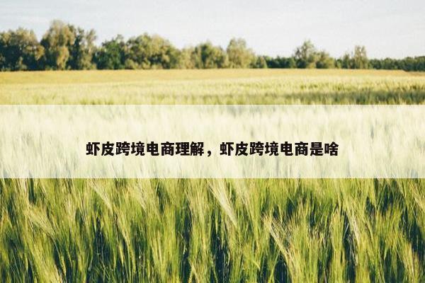 虾皮跨境电商理解，虾皮跨境电商是啥