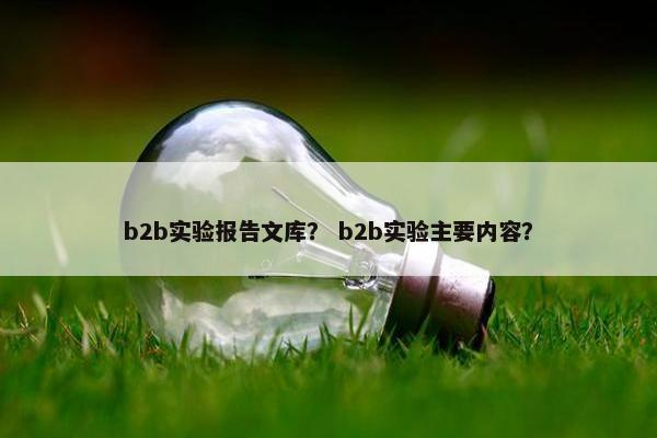 b2b实验报告文库? b2b实验主要内容?