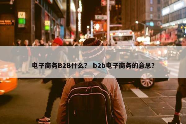 电子商务B2B什么? b2b电子商务的意思?