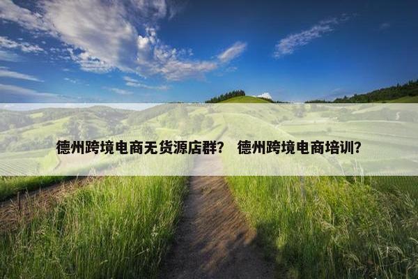 德州跨境电商无货源店群？ 德州跨境电商培训？