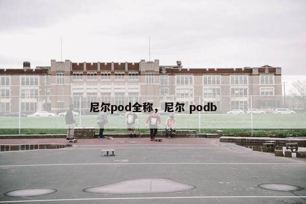 尼尔pod全称,尼尔 podb 尼尔pod全称,尼尔 podb