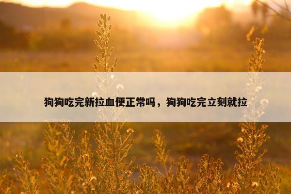 狗狗吃完新拉血便正常吗，狗狗吃完立刻就拉