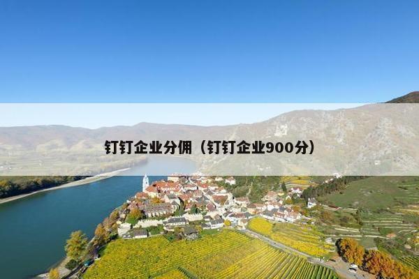 钉钉企业分佣（钉钉企业900分）