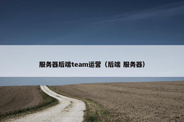 服务器后端team运营（后端 服务器）
