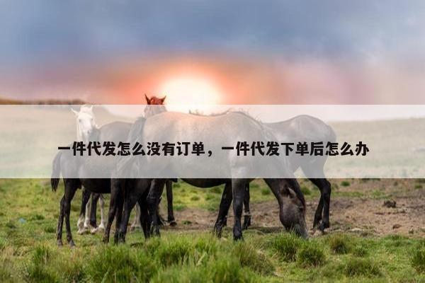 一件代发怎么没有订单,一件代发下单后怎么办