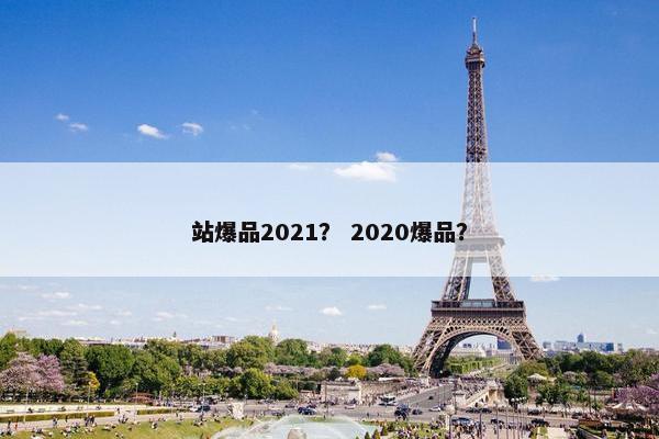 站爆品2021? 2020爆品?