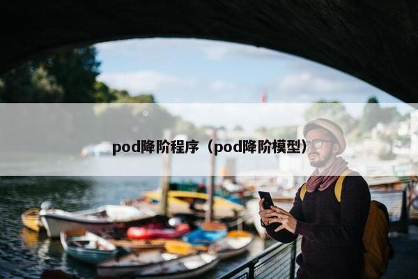 pod降阶程序（pod降阶模型）