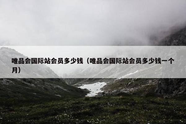 唯品会国际站会员多少钱（唯品会国际站会员多少钱一个月）