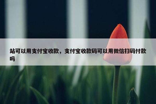 站可以用支付宝收款,支付宝收款码可以用微信扫码付款吗