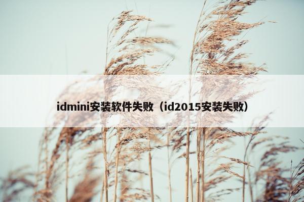 idmini安装软件失败(id2015安装失败) idmini安装软件失败(id2015安装失败)