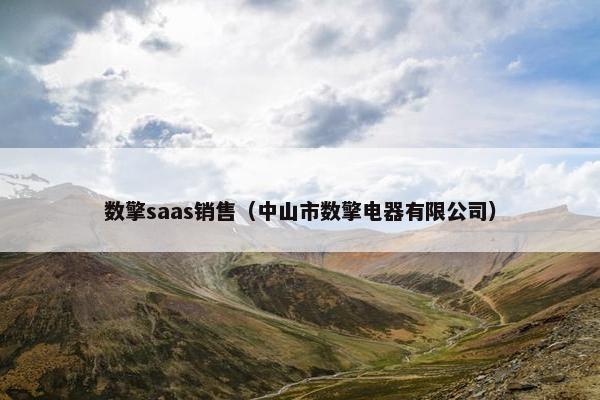 数擎saas销售（中山市数擎电器有限公司）