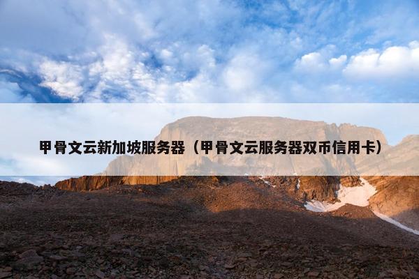 甲骨文云新加坡服务器（甲骨文云服务器双币信用卡）