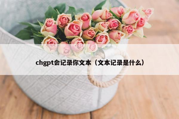 chgpt会记录你文本（文本记录是什么）