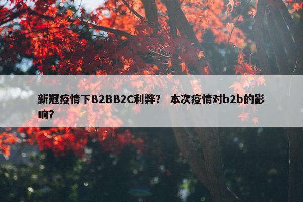新冠疫情下B2BB2C利弊？ 本次疫情对b2b的影响？