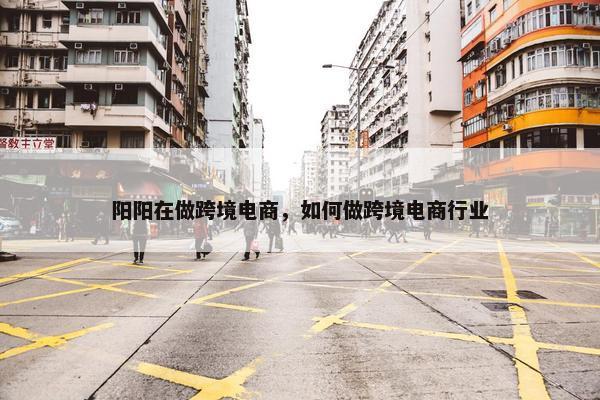 阳阳在做跨境电商，如何做跨境电商行业