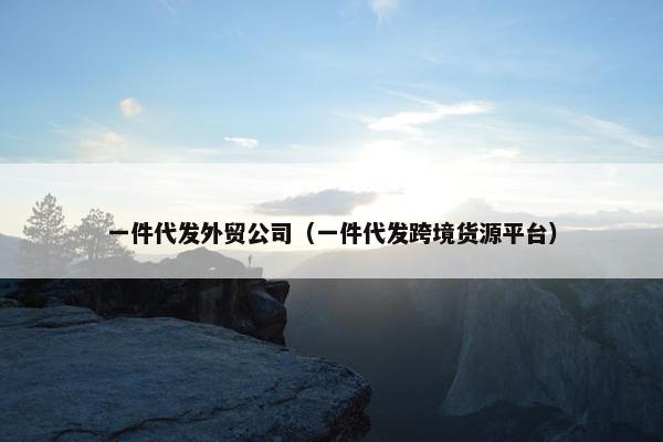 一件代发外贸公司(一件代发跨境货源平台) 一件代发外贸公司(一件代发跨境货源平台)