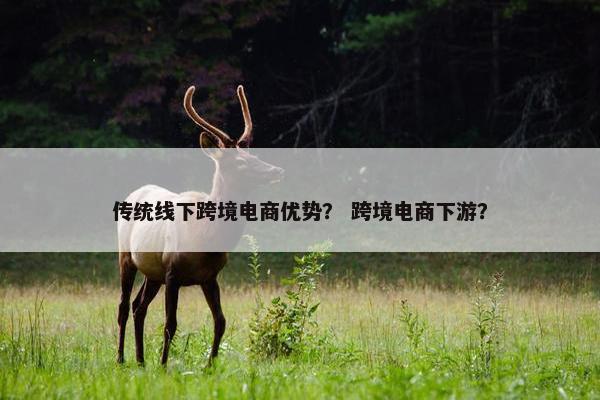 传统线下跨境电商优势? 跨境电商下游?